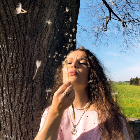 Profilbild von Eveline Baumgartner Meier
