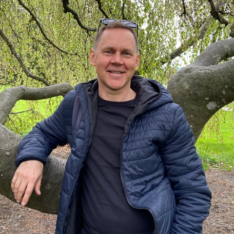 Profilbild von Dionys Schwery
